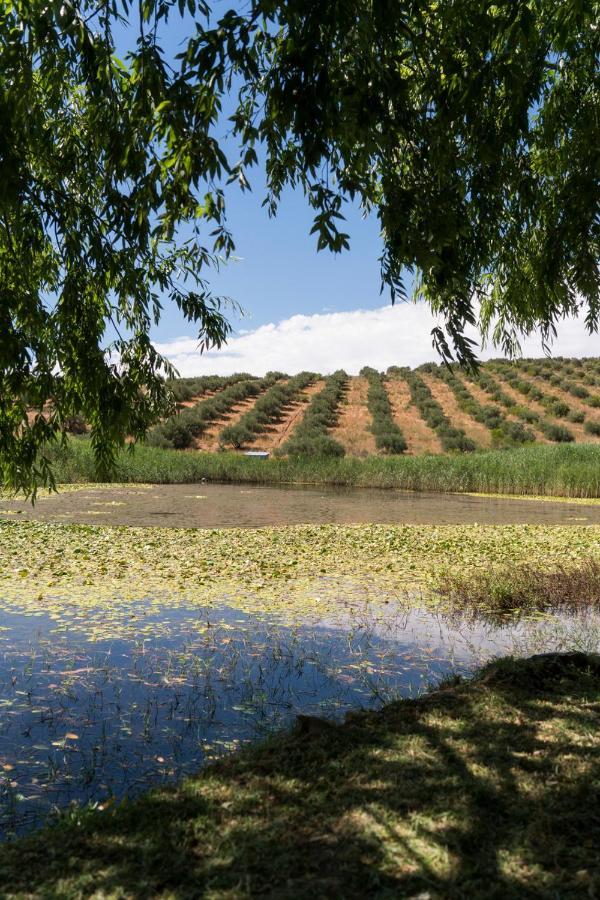 Kleinkloof Farm Villa Piketberg Exteriör bild